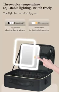LED beauty case